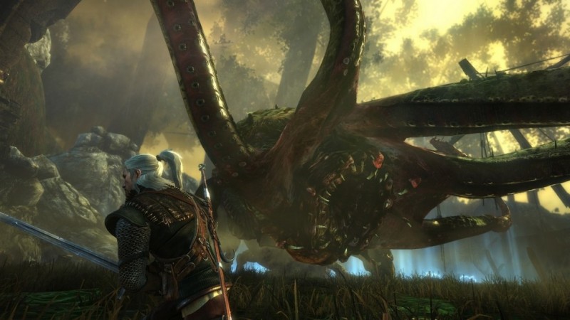 Issue with killing the Kayran in The Witcher 2